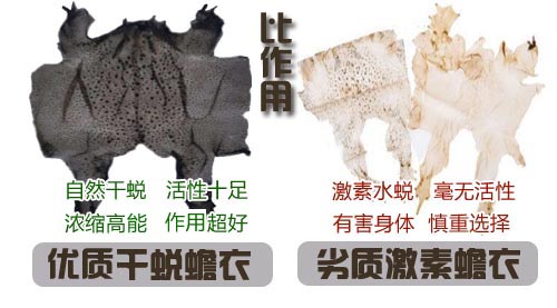 如何選擇好蟾衣？您踩坑了嗎？