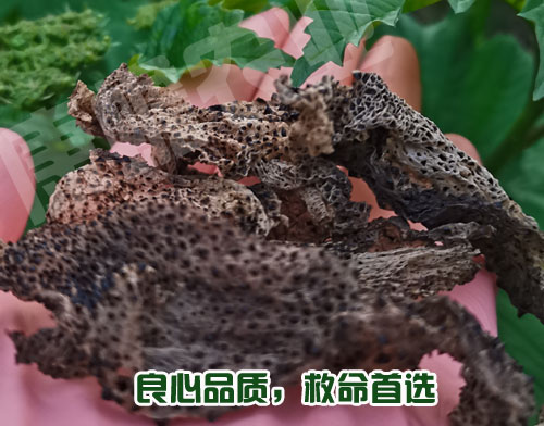 用不用蟾衣，你聽(tīng)誰(shuí)的？